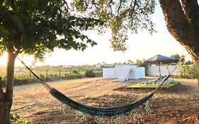 Sao Cristovao Farmhouse Setubal